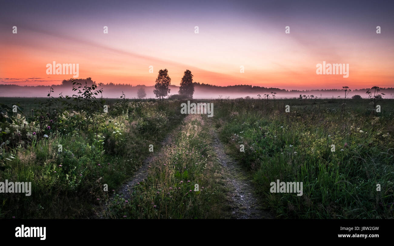 Paesaggio con strada idilliaco e la nebbia in serata estiva in Finlandia Foto Stock