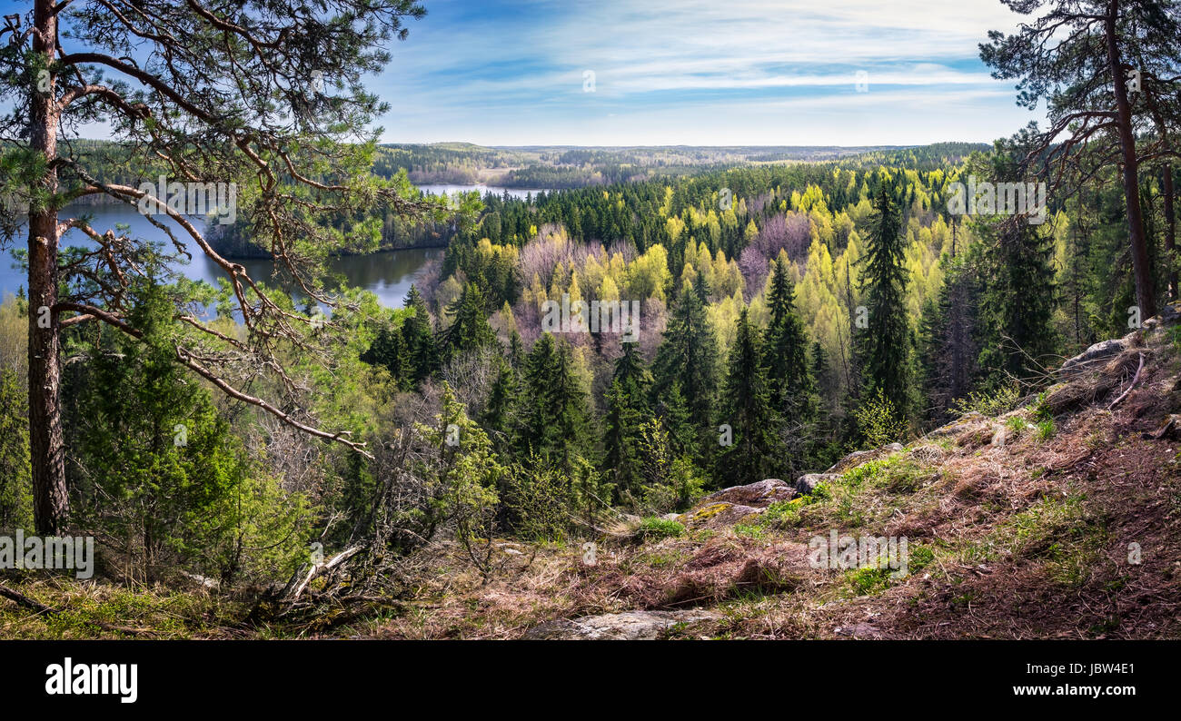 Paesaggio panoramico con il lago e luminosa giornata estiva nel parco nazionale Foto Stock