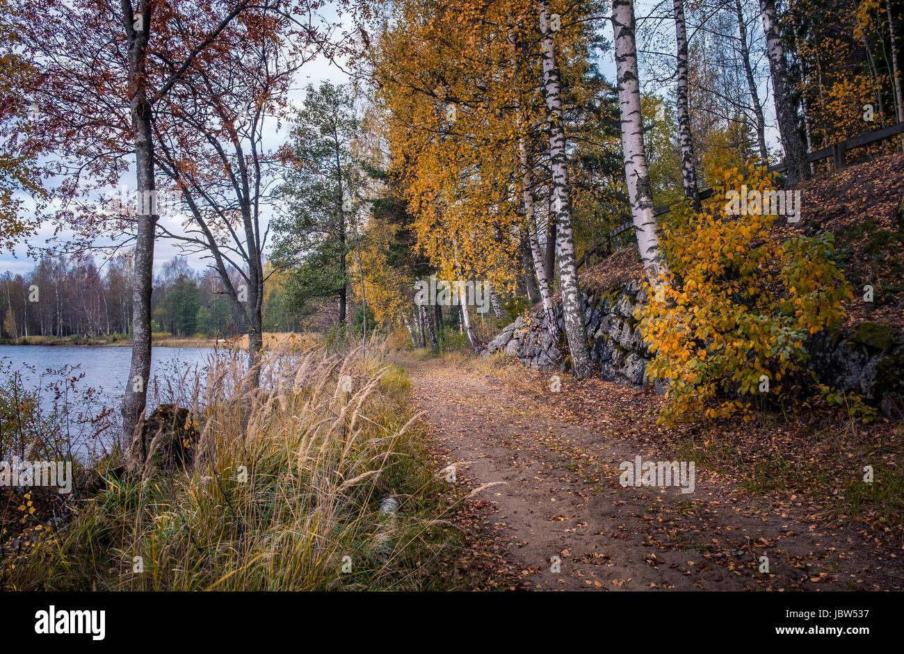Paesaggio idilliaco con il percorso al mattino di autunno Foto Stock