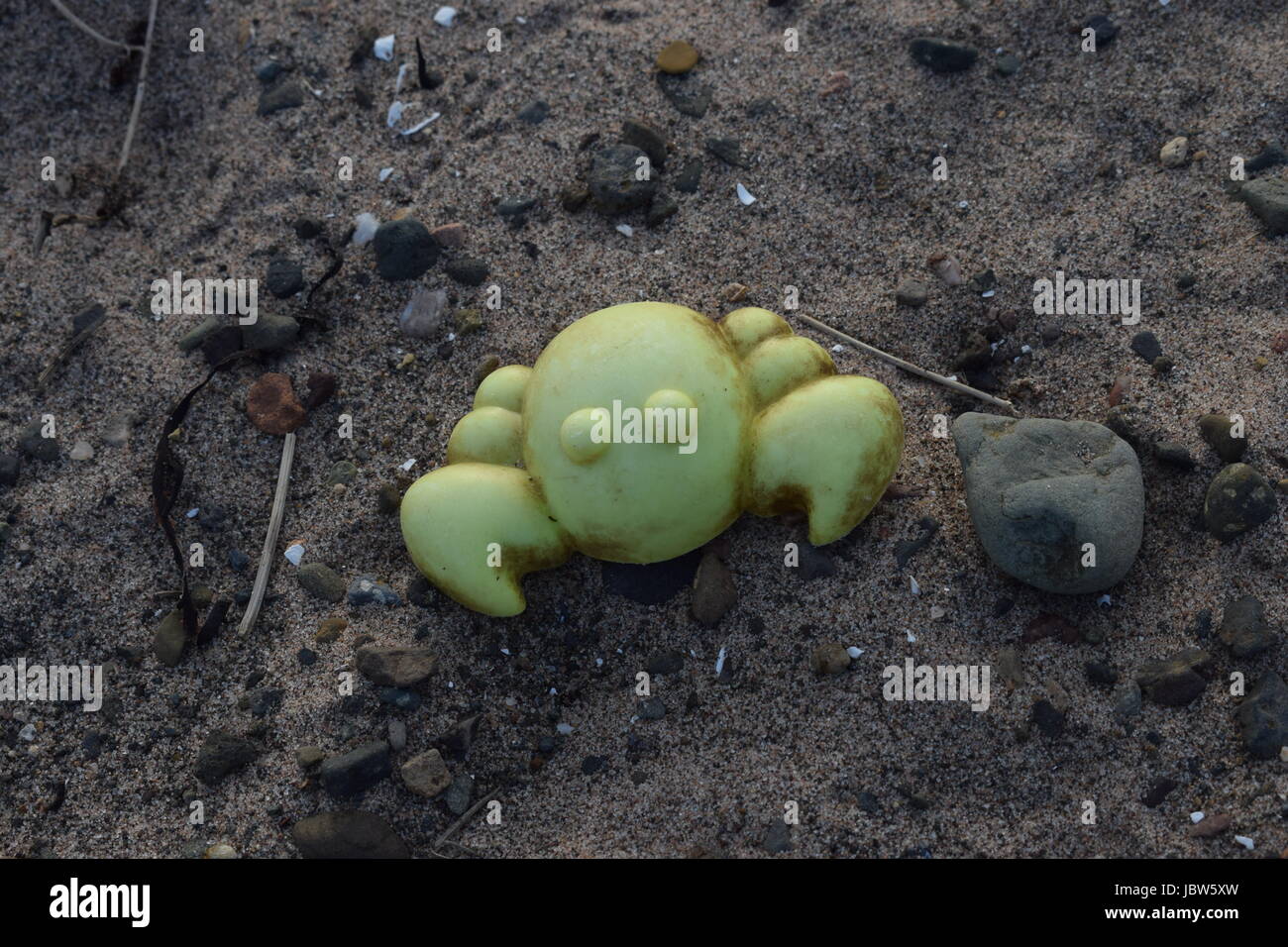 Trovato su una spiaggia Foto Stock