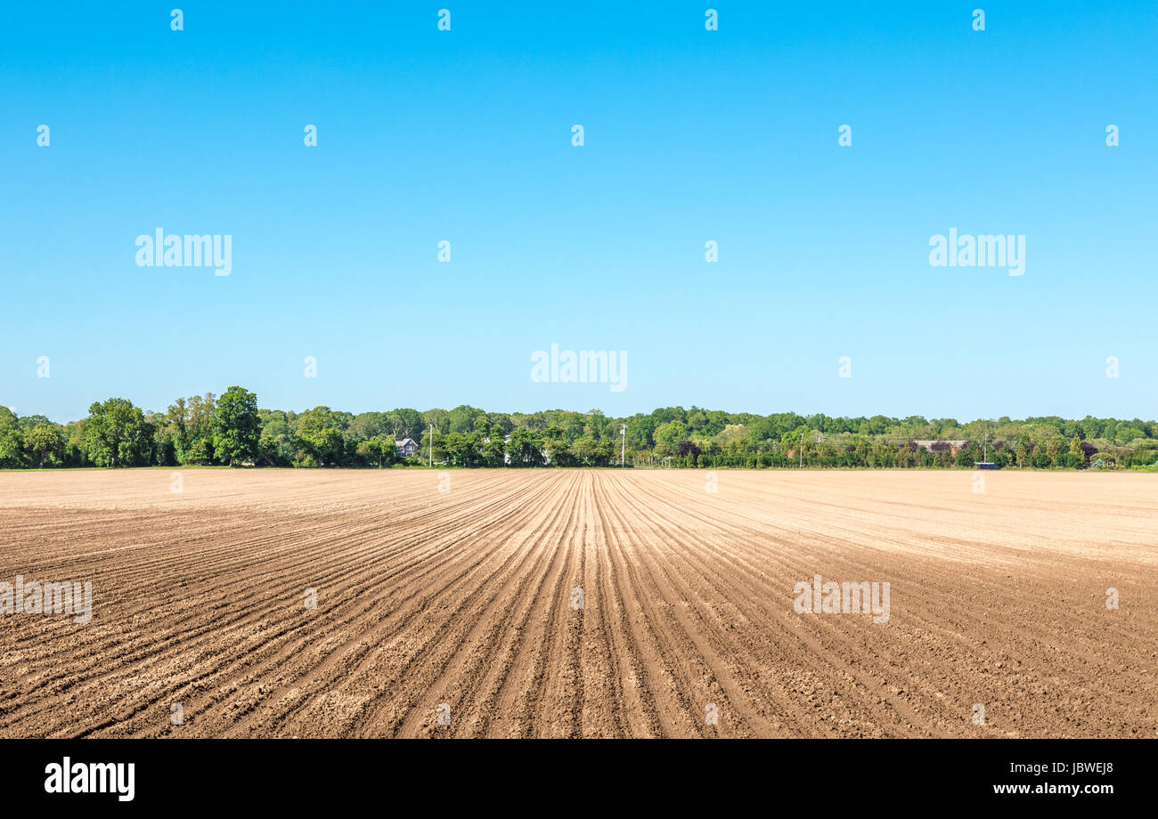 Appena campo arato con alberi lontani e brillant blue sky Foto Stock