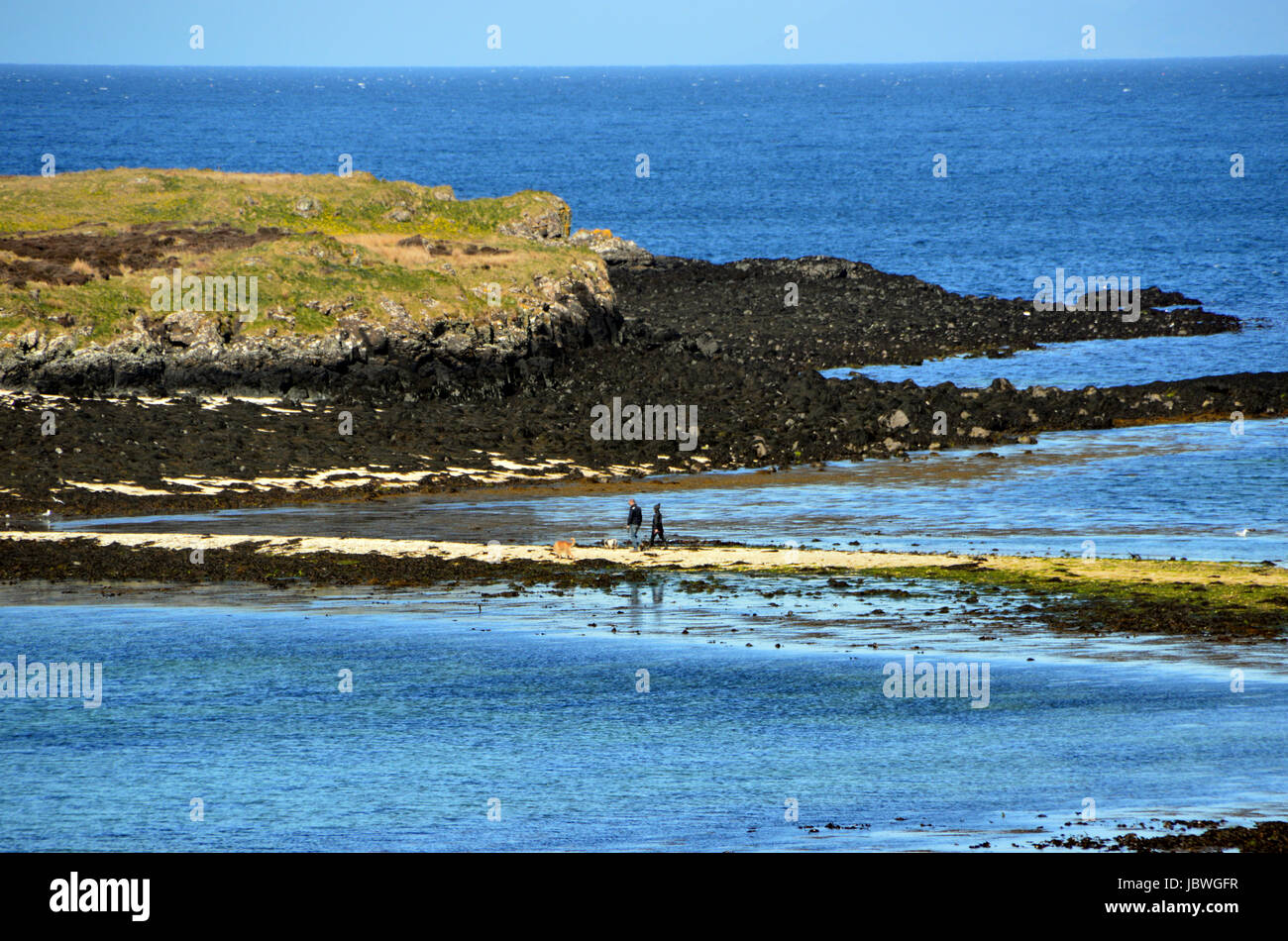Un giovane a piedi vi cane attraverso un Sandbank su un Dorneil all isola di Lampay a bassa marea da Coral Beach vicino Claigan, Dunvagan, Isola di Skye. Foto Stock