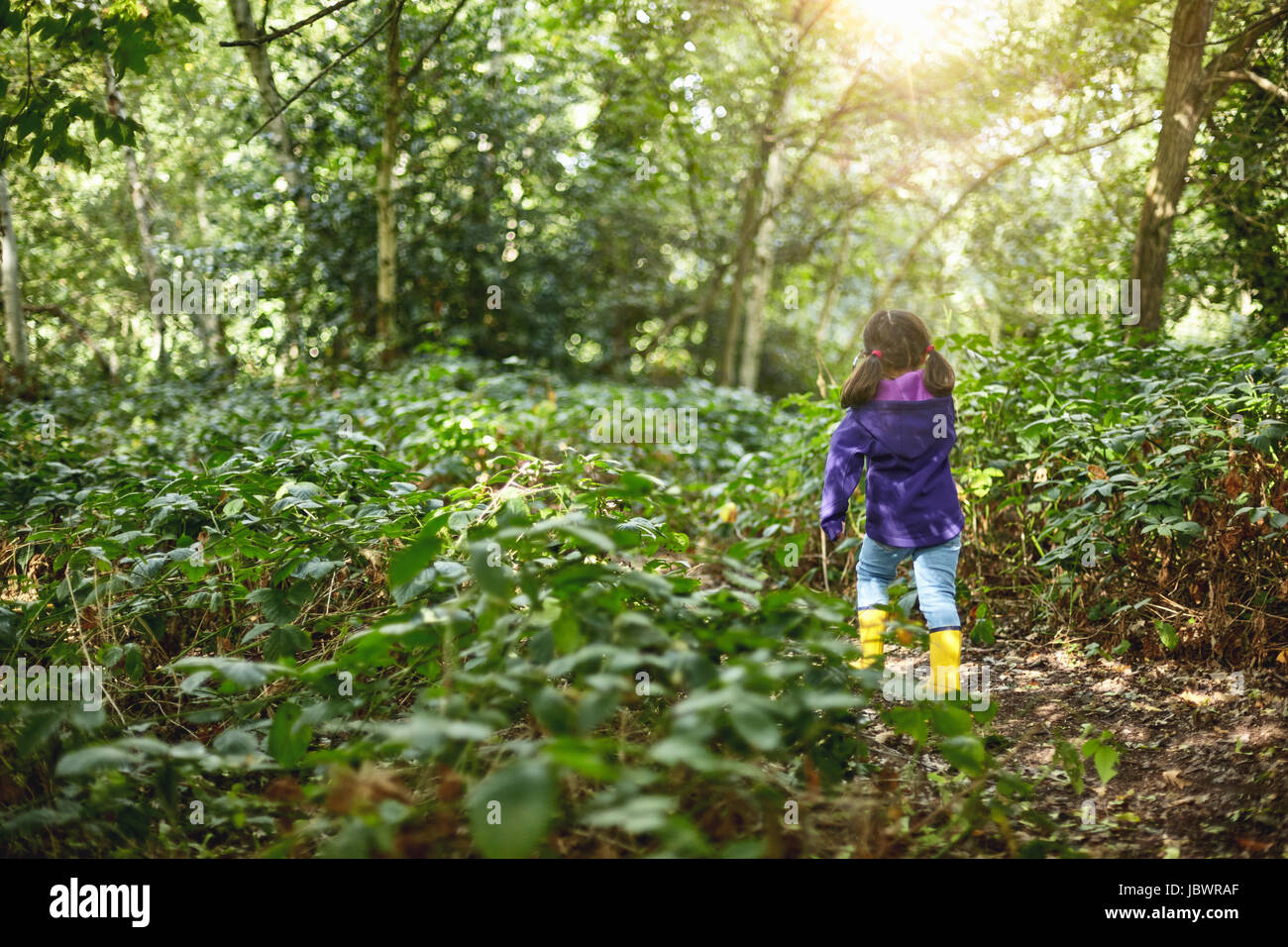Giovane ragazza camminare attraverso la foresta, vista posteriore Foto Stock