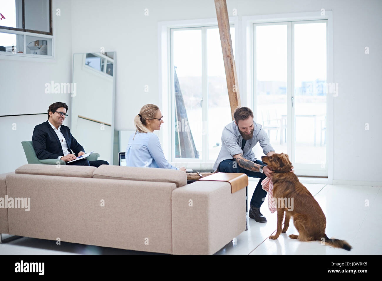 Il team di progettazione e di incontro petting cane sul design studio Foto Stock