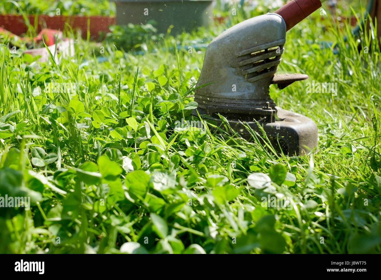 L'uomo falciare l'erba, il tosaerba da vicino Foto Stock