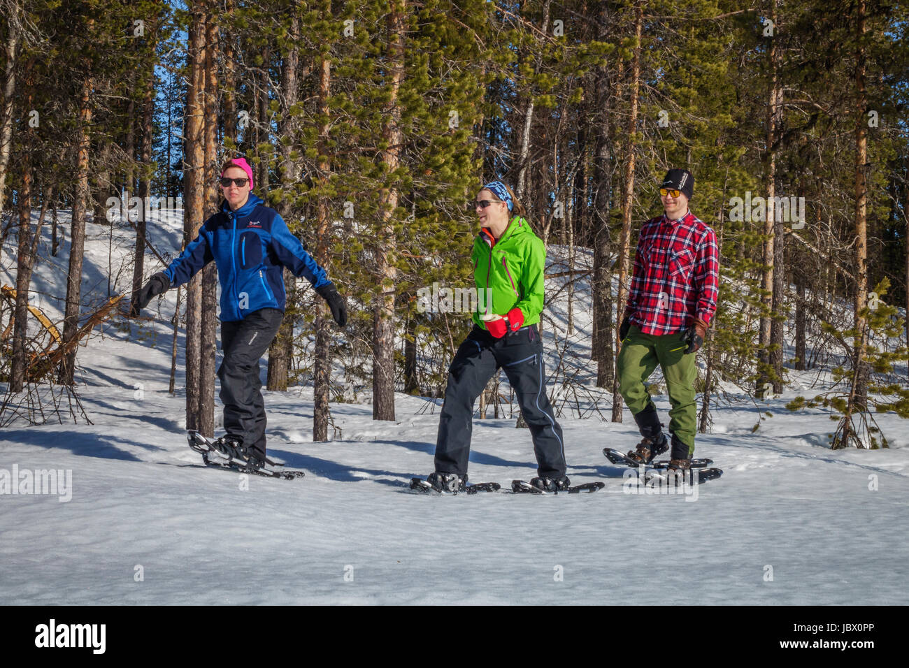 Escursioni con le racchette da neve, Kangos, Lapponia, Svezia Foto Stock