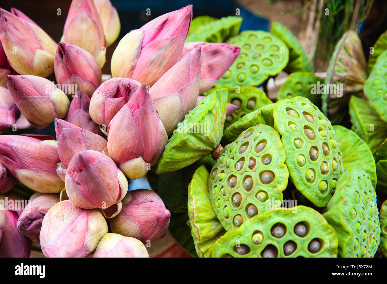 Mazzo di fiori di loto al mercato Foto stock - Alamy