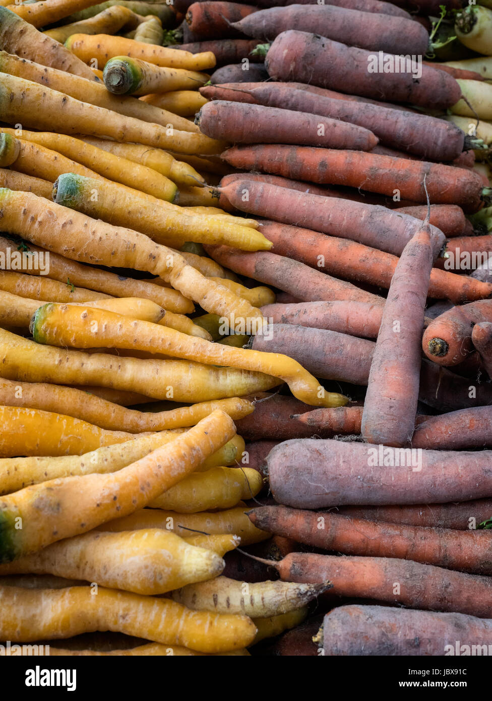 Giallo e arancione carote su un mercato degli agricoltori Foto Stock