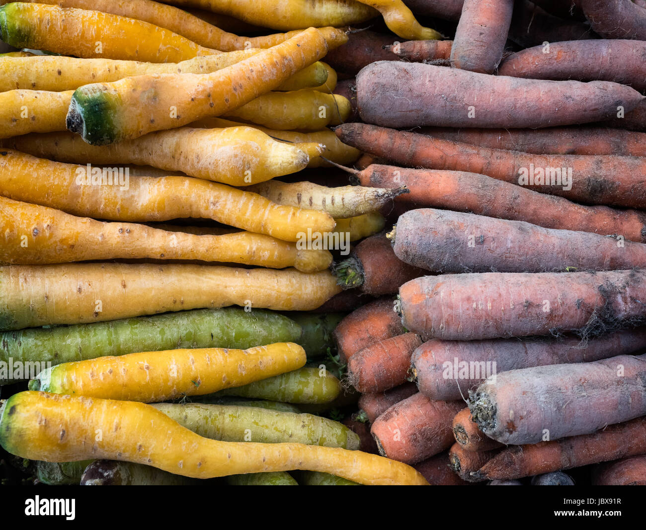 Giallo e arancione carote su un mercato degli agricoltori Foto Stock