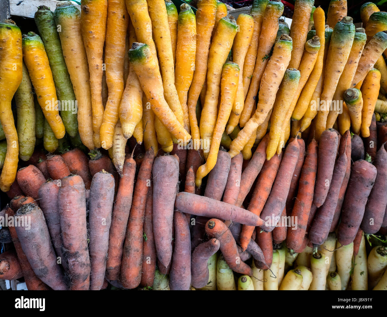 Giallo e arancione carote su un mercato degli agricoltori Foto Stock