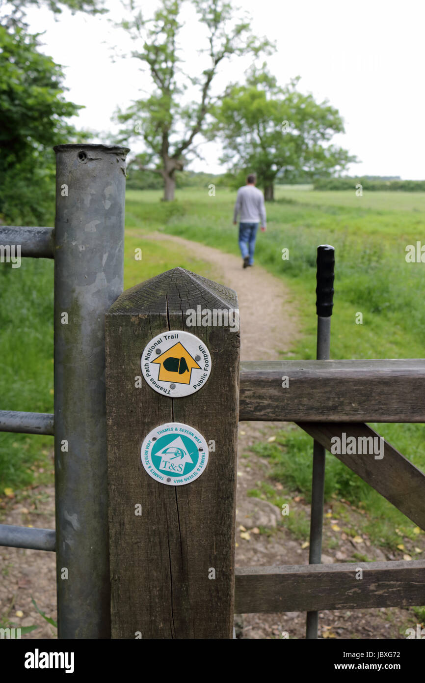 Passeggiando per il Tamigi percorso attraverso la campagna inglese in Cotswolds vicino Kemble GLOUCESTERSHIRE REGNO UNITO Foto Stock