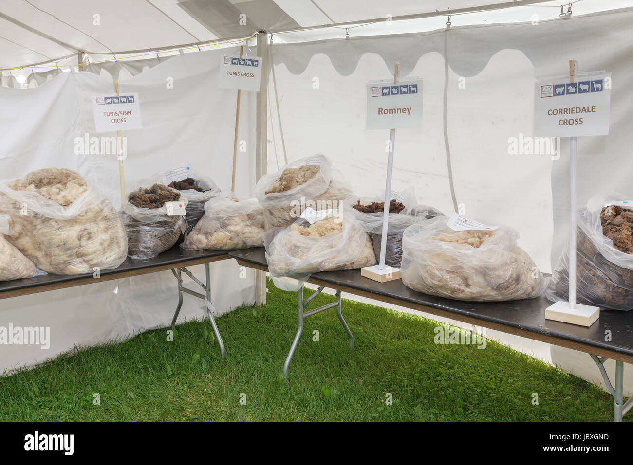 BOUCKVILLE, NY, Stati Uniti d'America - 10 giugno 2017: sacchi di diversi tipi di lana sul display in fibra annuale Festival della centrale di New York. Foto Stock