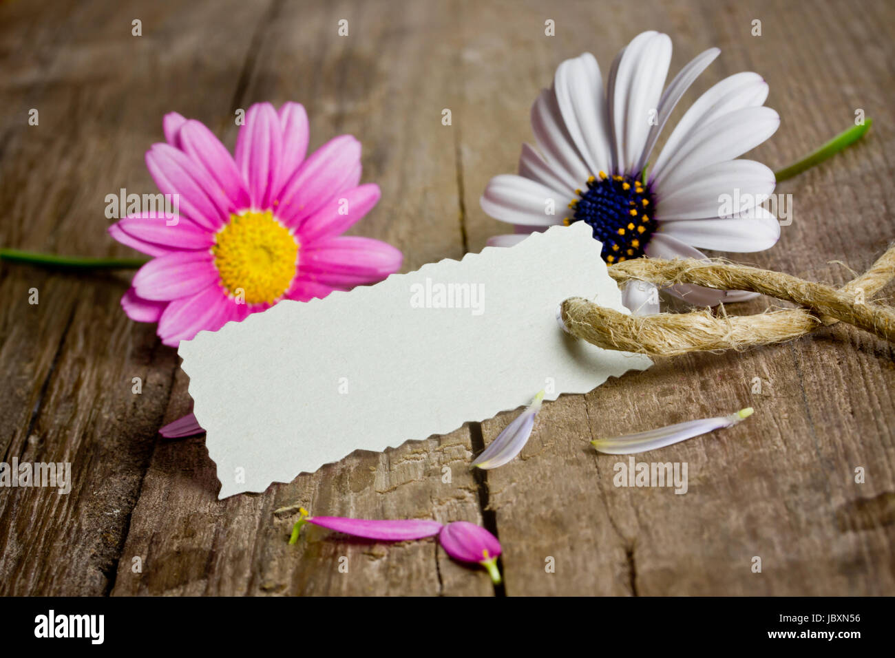 Voucher con fiori di colore rosa Foto Stock