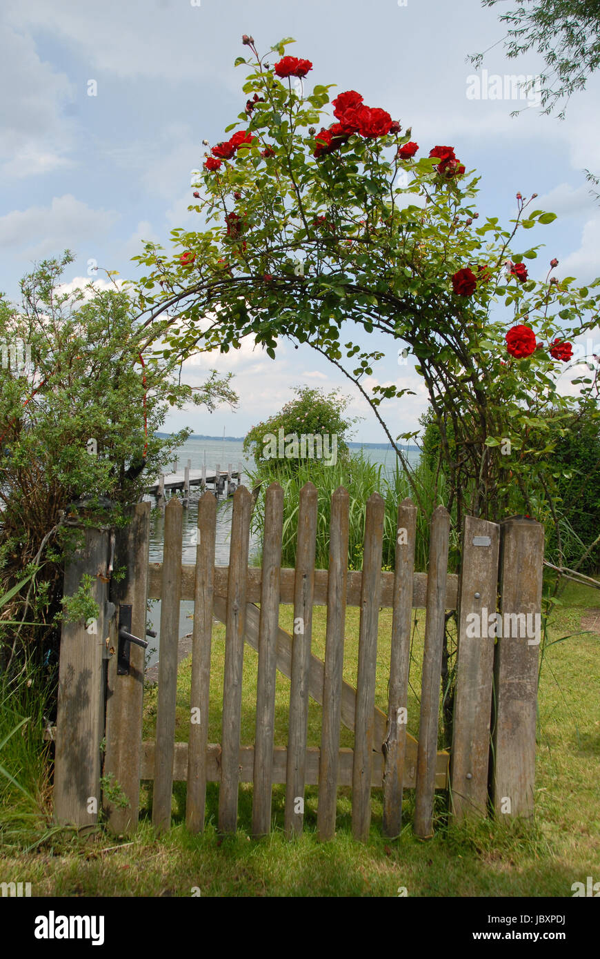 Arco di rose Foto Stock