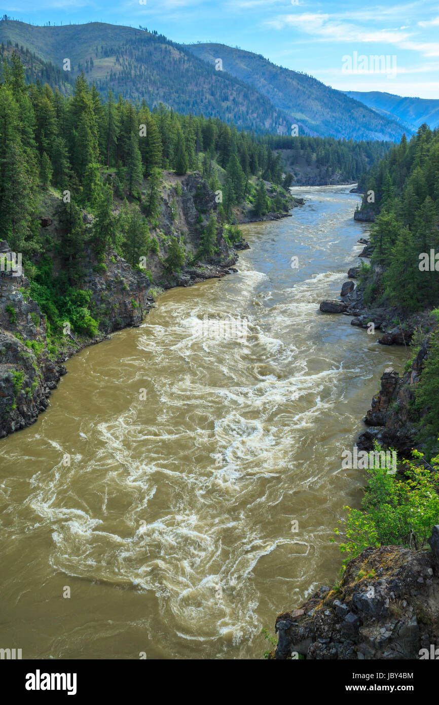 Runoff della molla ad alta portata sul fiume Clark Fork in alberton gorge vicino Alberton, montana Foto Stock