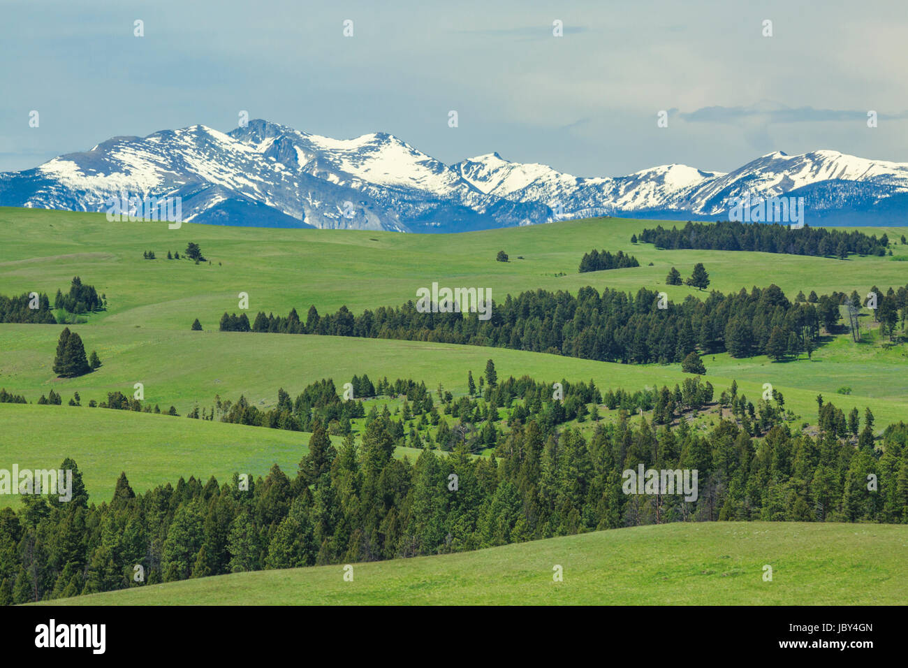La selce creek suddetta gamma spotted dog creek vicino bacino avon, montana Foto Stock
