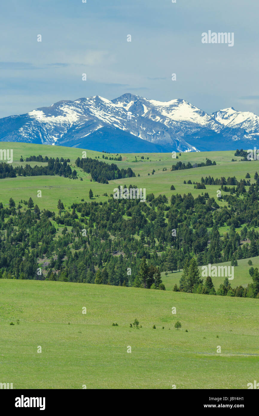 La selce creek suddetta gamma spotted dog creek vicino bacino avon, montana Foto Stock