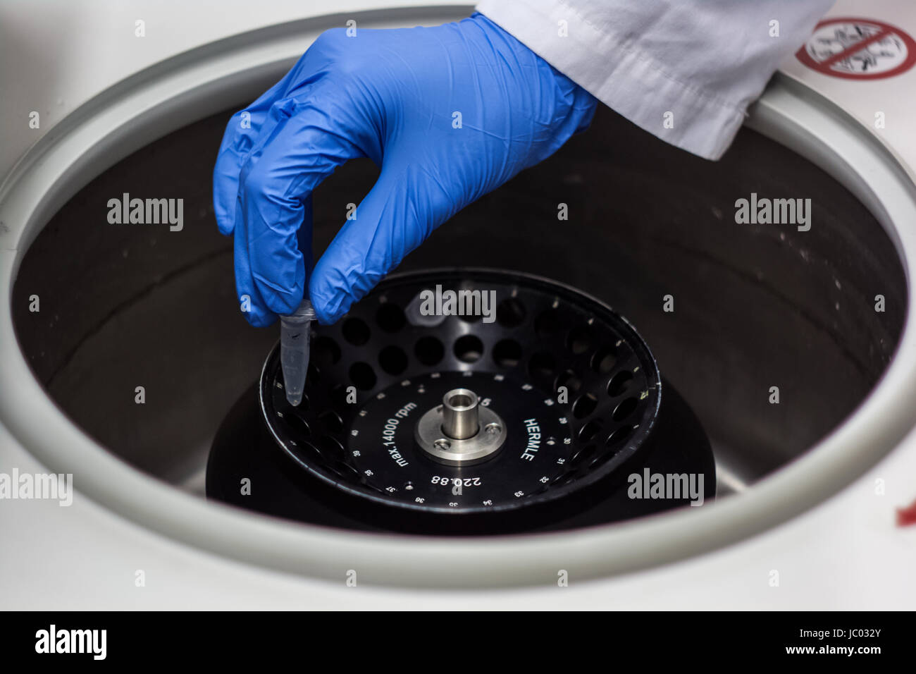 Ricercatore o scienziato o studente di dottorato di ricerca che lavora in un laboratorio di biotecnologie il campionamento del DNA in una provetta da centrifuga con Foto Stock