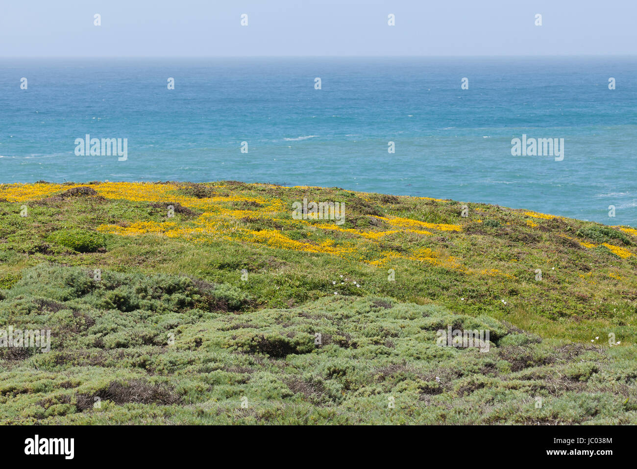 California Central Coast - San Luis Obispo County, California USA Foto Stock
