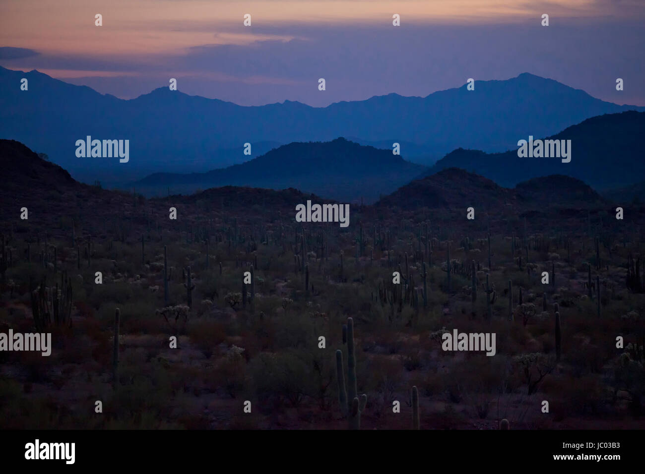 Deserto Mojave paesaggio - California USA Foto Stock
