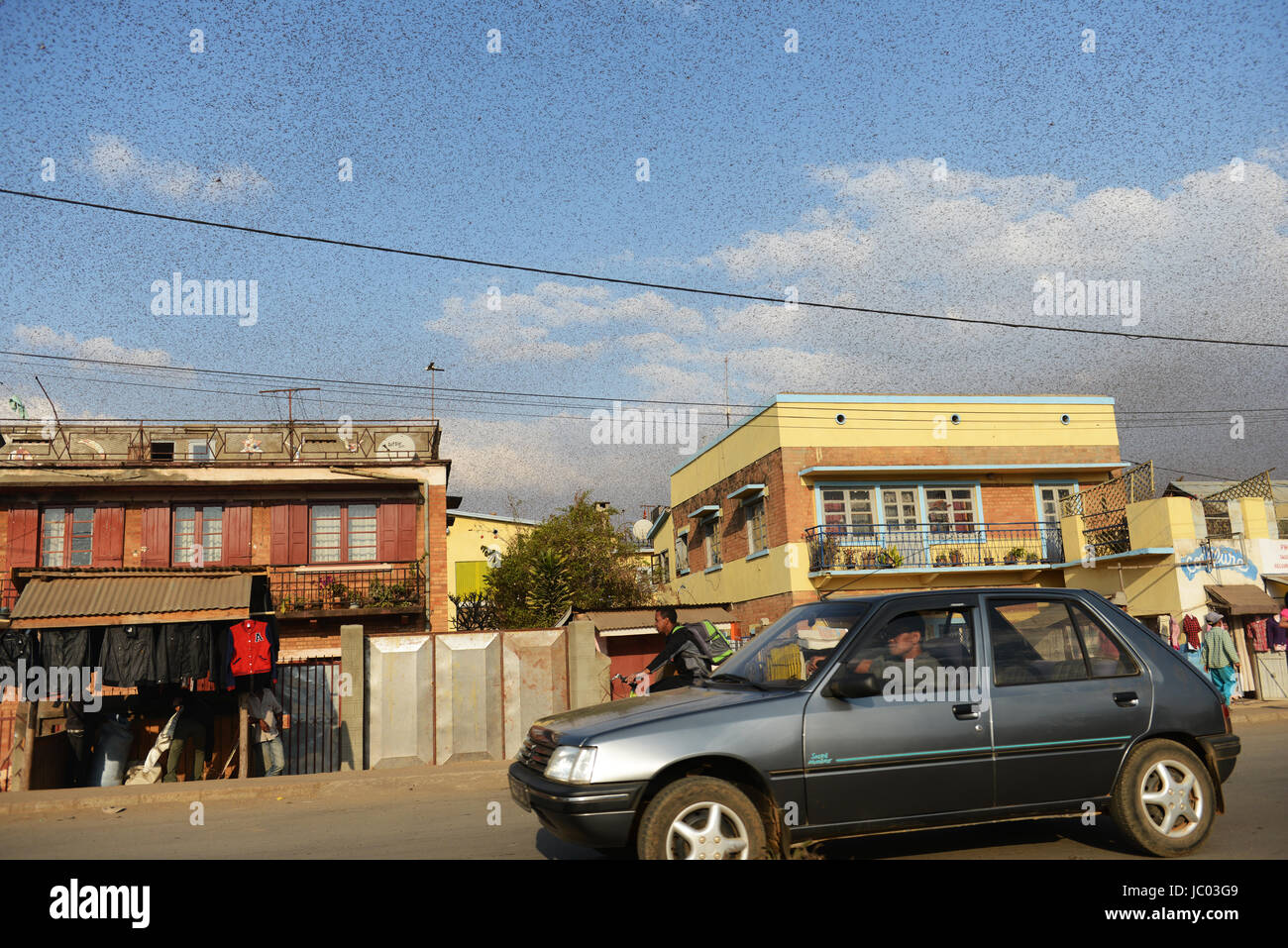 Un interminabile sciame di locusta volare sopra i campi e una piccola città in Madagascar centrale. Foto Stock