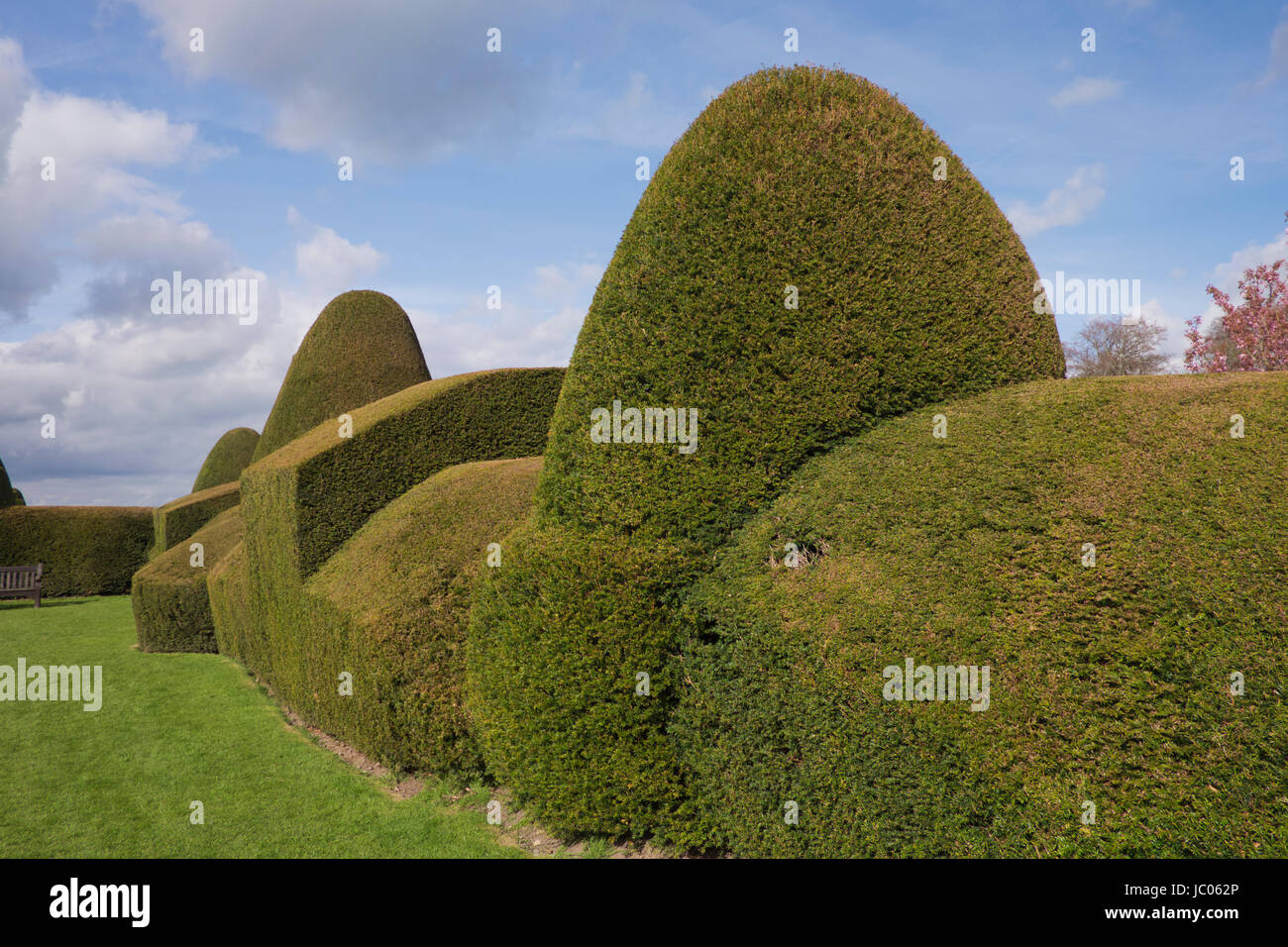 Topiaria da in Chirk Castle Gardens in Galles Foto Stock