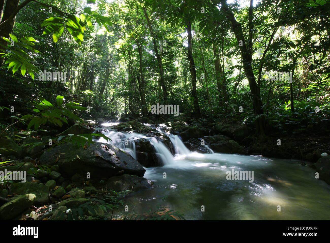 Fiume circondato da alberi e rocce in una giungla tropicale prese a rallentare la velocità dello shutter. Foto Stock