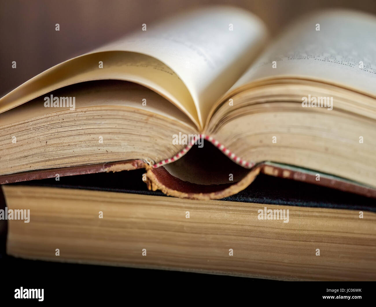 saggezza di carta Foto Stock