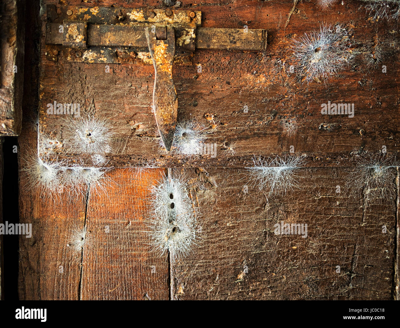 Rusty serratura con molti web imbuto ragnatele. Foto Stock