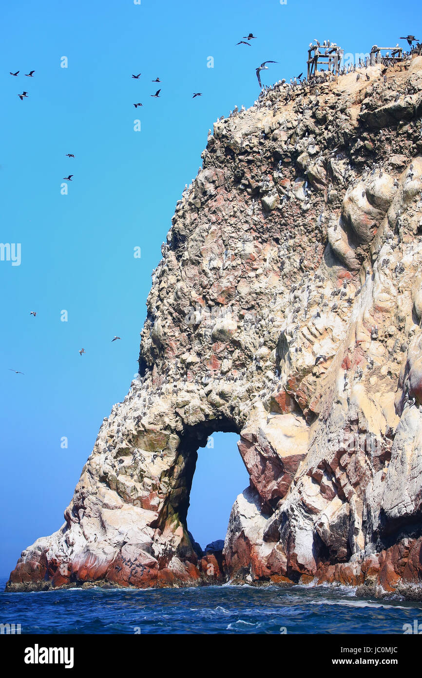 Le formazioni rocciose in Isole Ballestas riserva in Perù. Isole Ballestas sono un importante santuario per la fauna marina Foto Stock