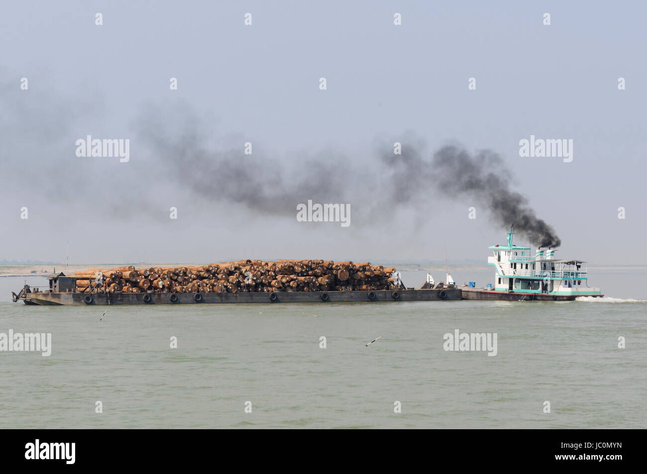 Trasporto von Tropenholz auf einem Schiff in Birmania. Foto Stock