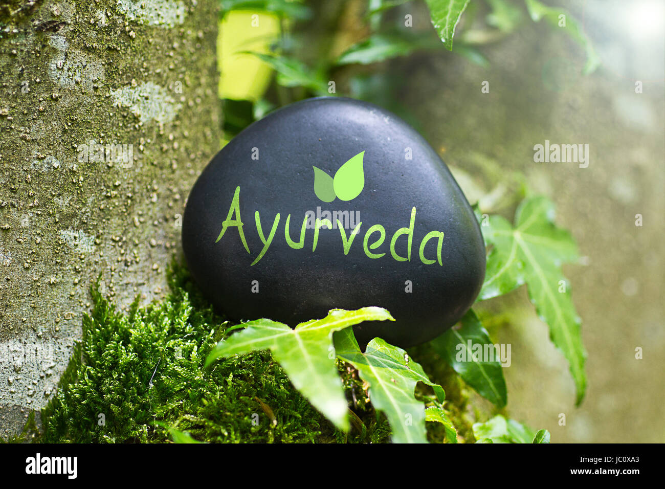 Ayurveda Foto Stock