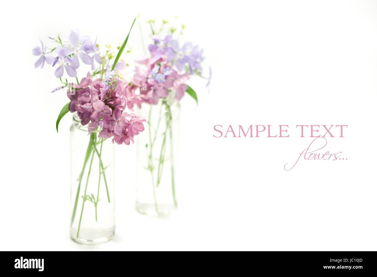 Molla di bellissimi fiori in un vaso su sfondo bianco Foto Stock