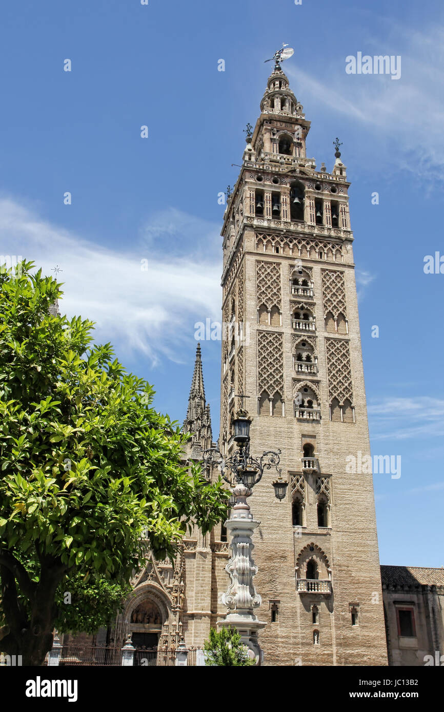 La Giralda, il campanile della cattedrale di Siviglia, ex minareto, Siviglia, in Andalusia, Spagna. Foto Stock