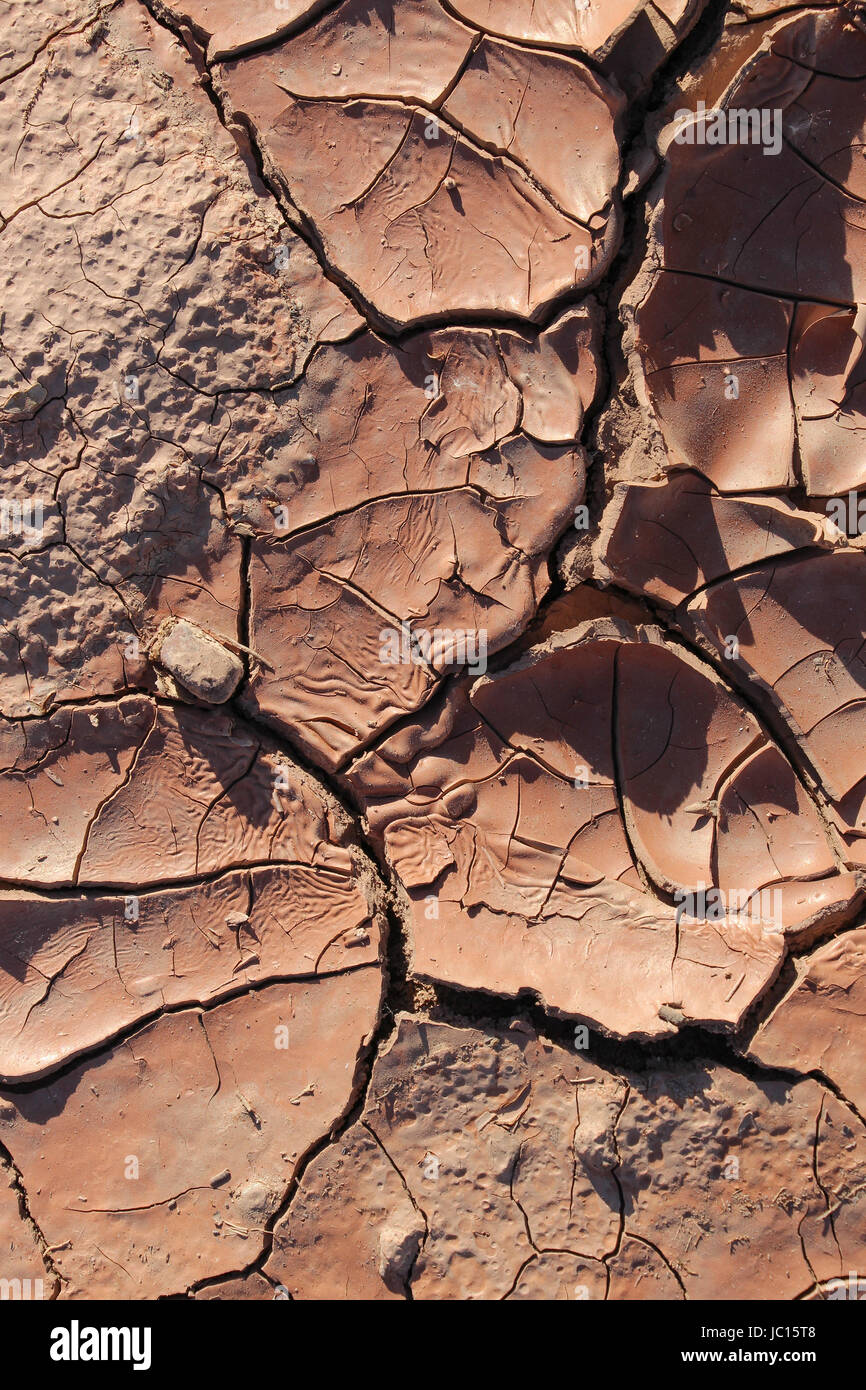 Il fango essiccato e spaccata in una depressione nel deserto. Foto Stock