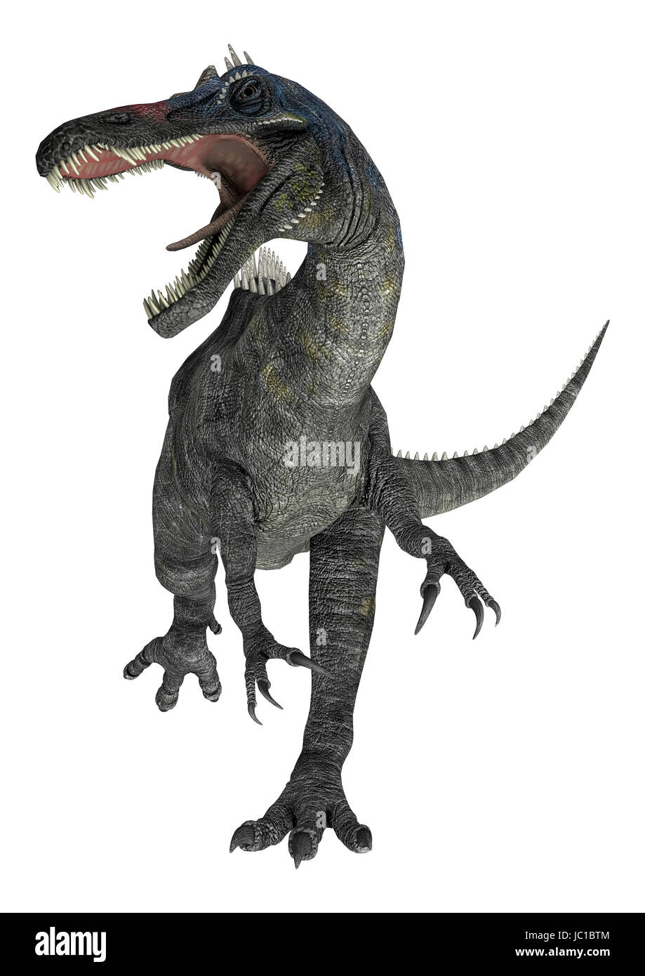 3D render digitale di un suchomimus tenerensis isolati su sfondo bianco Foto Stock