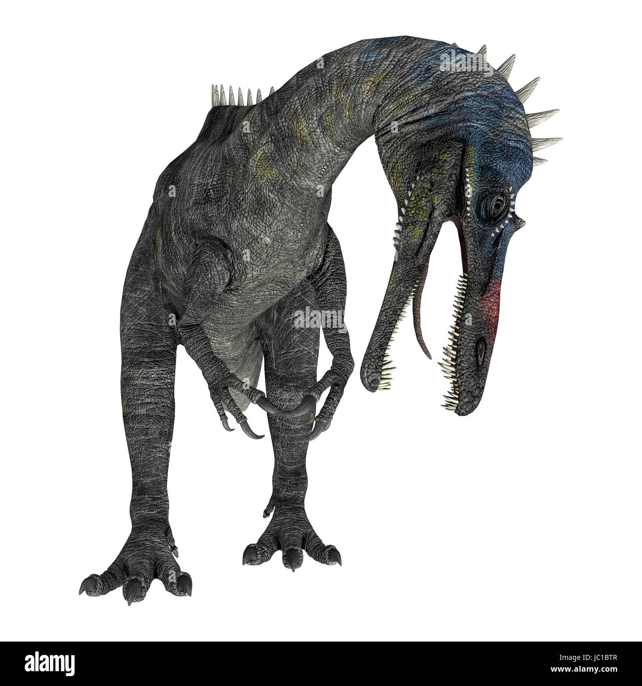 3D render digitale di un suchomimus tenerensis isolati su sfondo bianco Foto Stock
