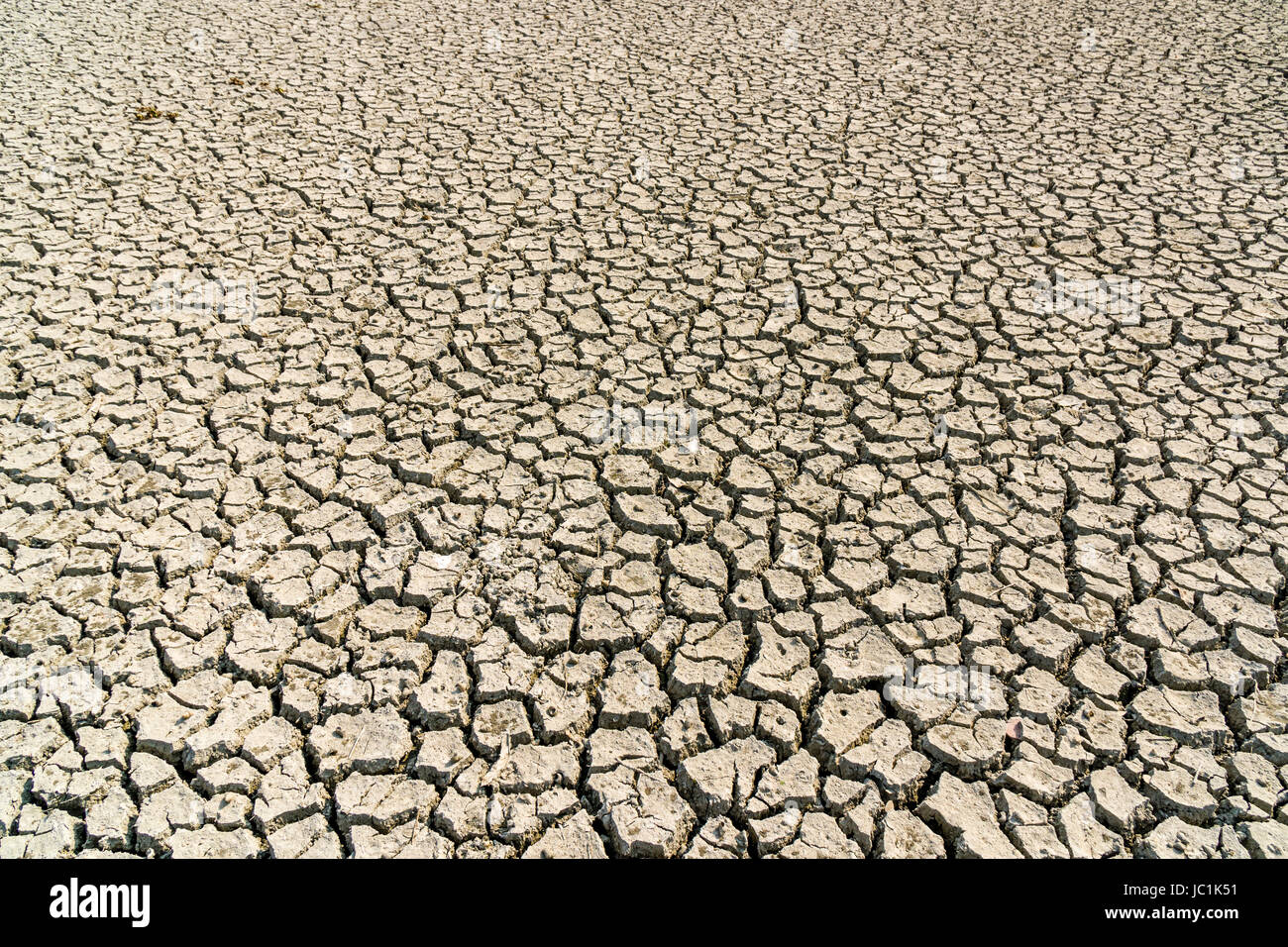 Asciugate-fuori suolo su un campo in ambiente rurale del borgo Città nuova Foto Stock
