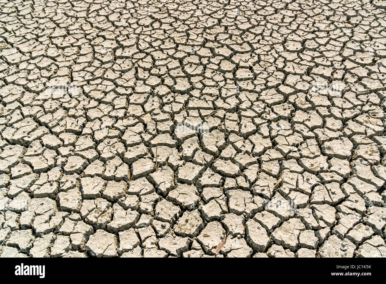 Asciugate-fuori suolo su un campo in ambiente rurale del borgo Città nuova Foto Stock