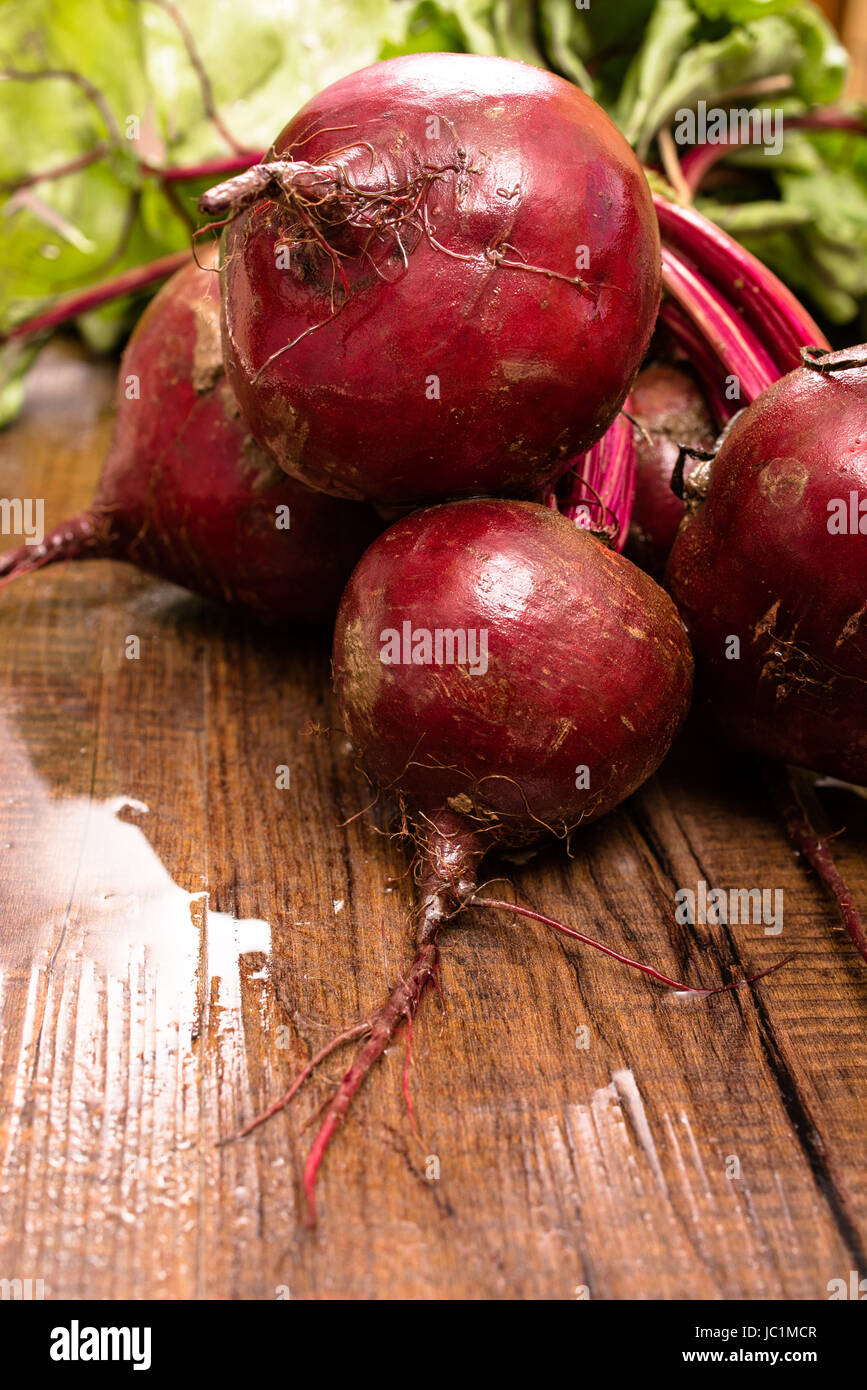 Rote Bete im Gegenlicht und Hochformat Foto Stock