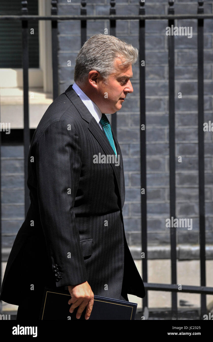 Londra, Regno Unito. Xiii Giugno, 2017. Brandon Lewis MP, Ministro di Stato per l'immigrazione, lascia il numero 10 di Downing Street dopo per partecipare a una riunione del gabinetto davanti al Primo Ministro Theresa Maggio incontro Democratico Unionista del leader del Partito Arlene Foster. Credito: Stephen Chung/Alamy Live News Foto Stock