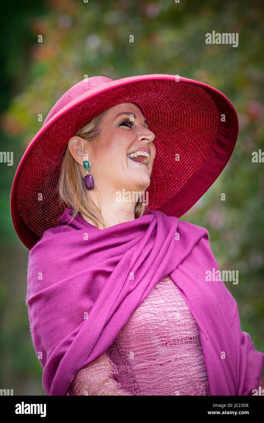 Regina della rosa olandese immagini e fotografie stock ad alta risoluzione  - Alamy