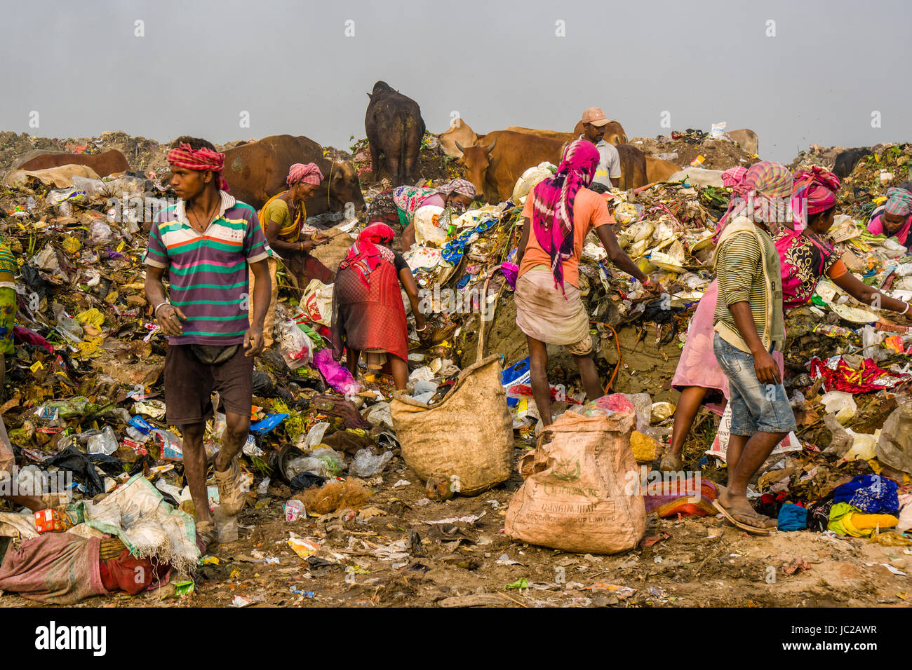 I lavoratori sono la raccolta di materiali riciclabili in cima polverosi Dhapa Garbage Dump Foto Stock