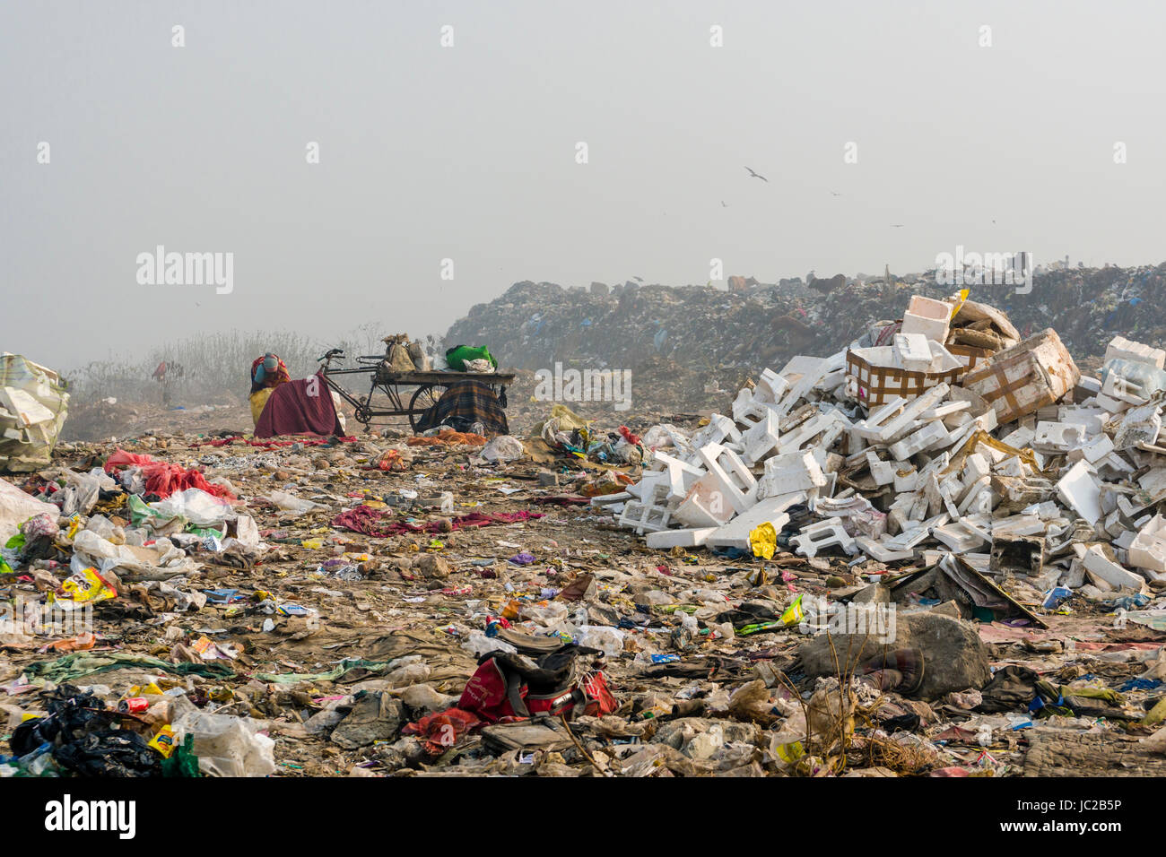 I lavoratori sono la raccolta di materiali riciclabili in cima polverosi dhapa garbage dump Foto Stock