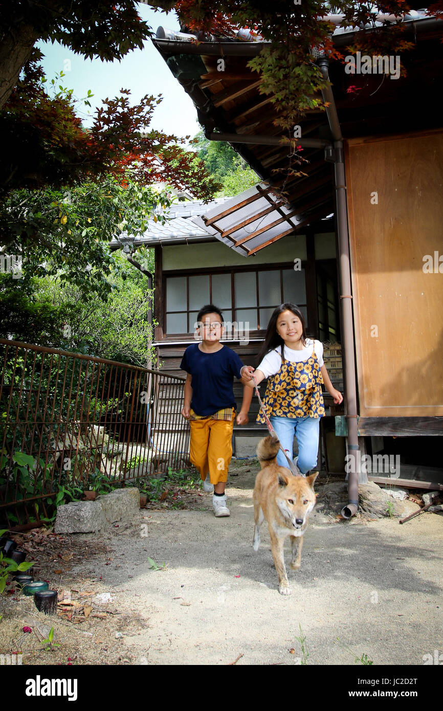 I bambini con Shiba Inu Foto Stock