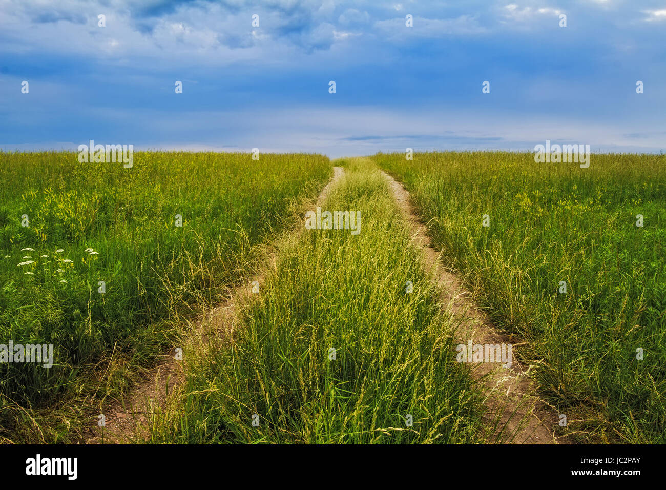 Una strada che passa attraverso un'erba alta prairie nel Midwest con un drammatico sky Foto Stock