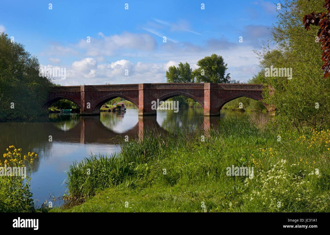 Bridge e il fiume Tamigi presso la Clifton Hamden, Oxfordshire, Inghilterra Foto Stock