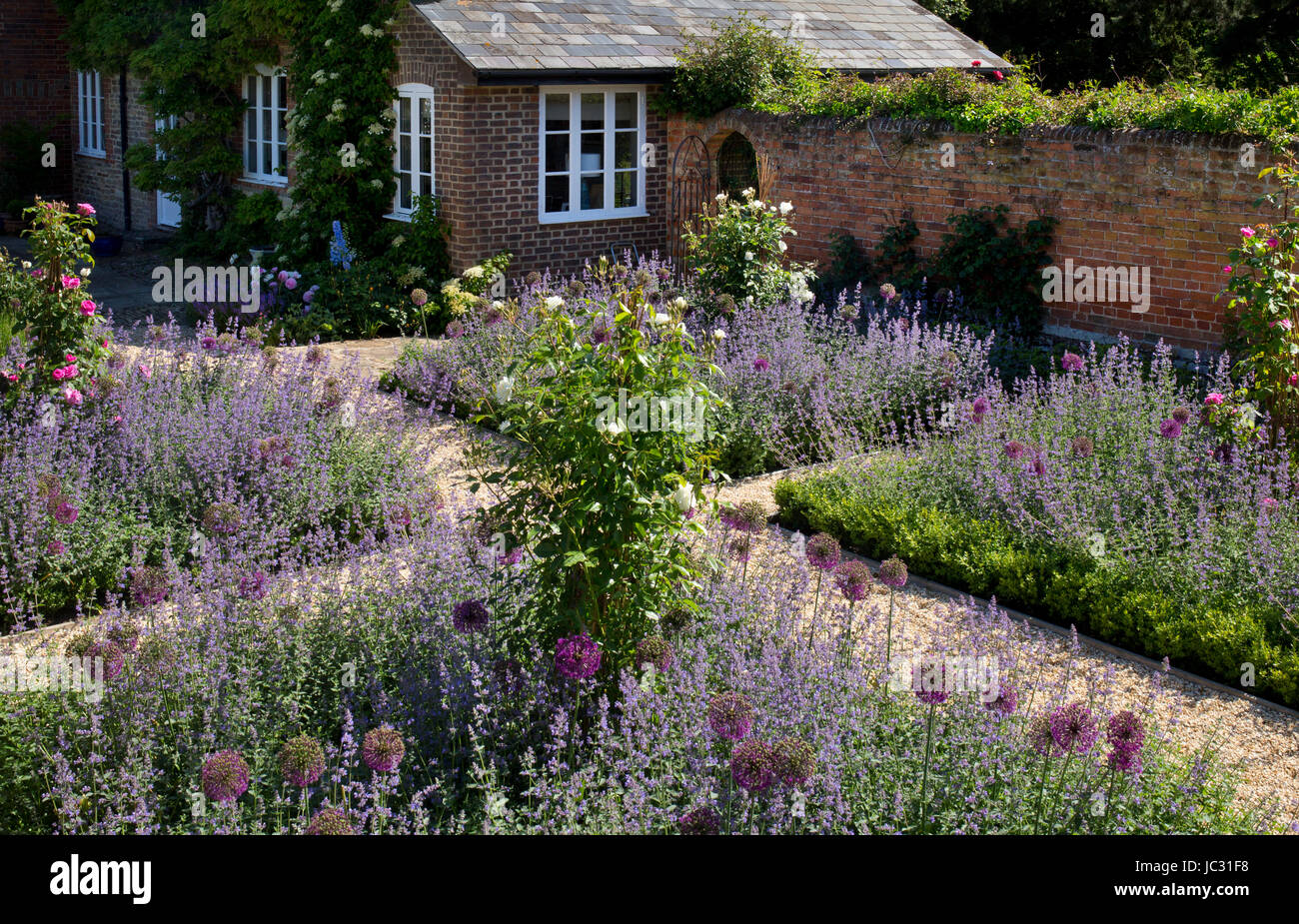 Sentiero di ghiaia con boarders di fiori d'estate nel giardino inglese Foto Stock