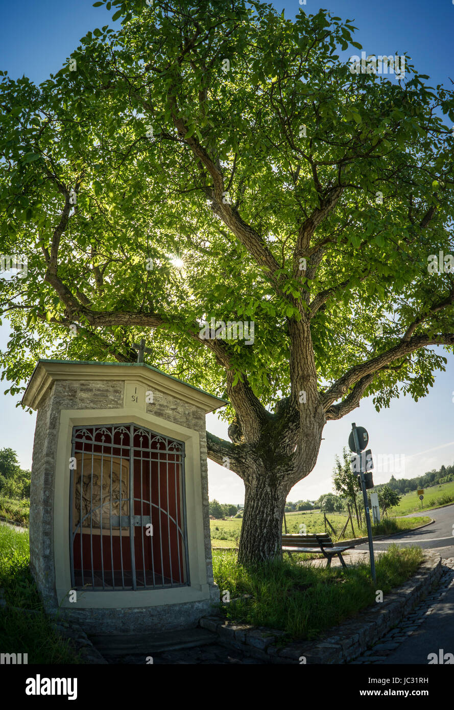 Grande albero in piedi davanti al sole accanto un religioso santuario Foto Stock