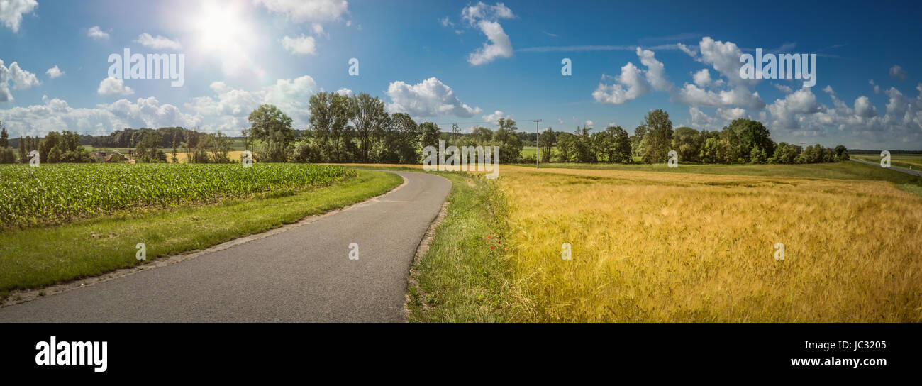 Vista di un campo agricolo in estate Foto Stock